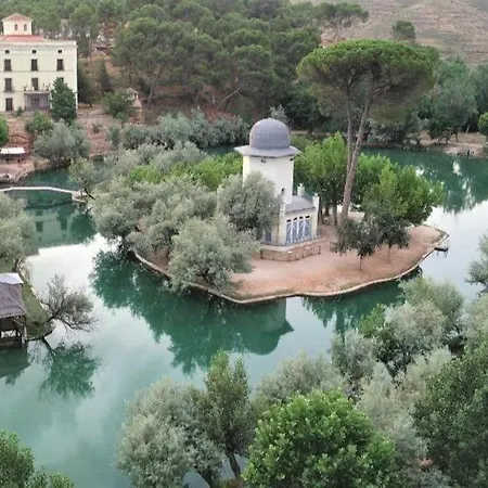 Buganvilla