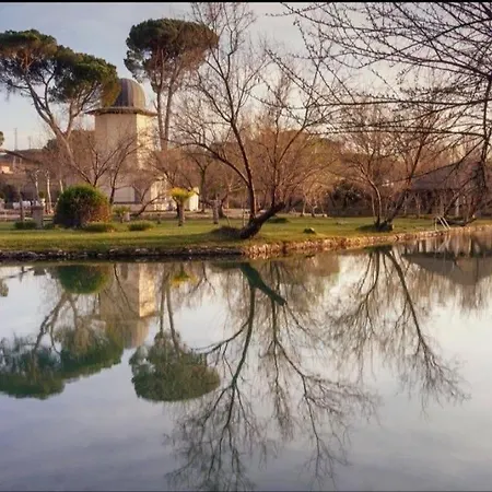 Buganvilla * Alhama de Aragón