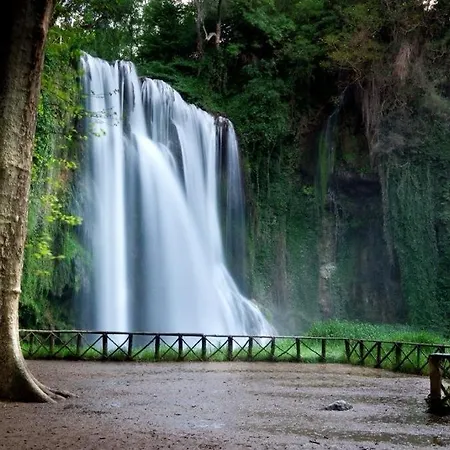 Apartmán Buganvilla *