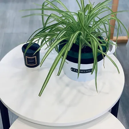 شقة Buganvilla