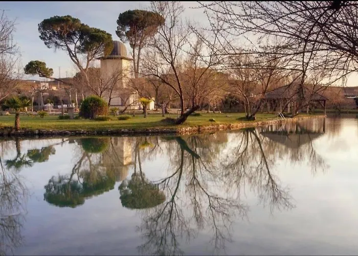 Buganvilla * Alhama de Aragón