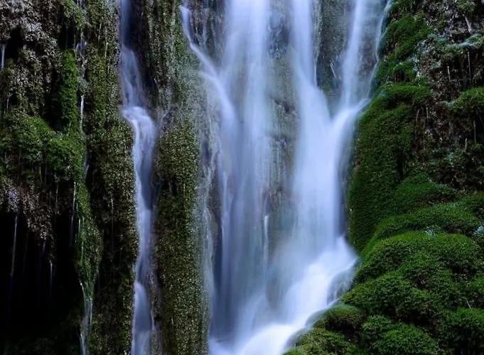 Buganvilla Lägenhet *